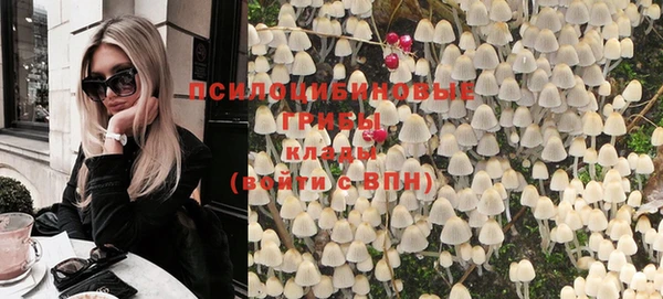 прущие крисы Абинск