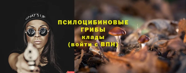 прущие крисы Абинск