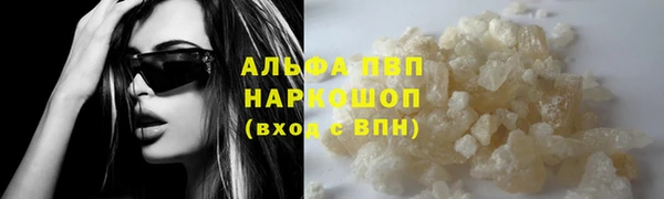 молекула духа Осинники