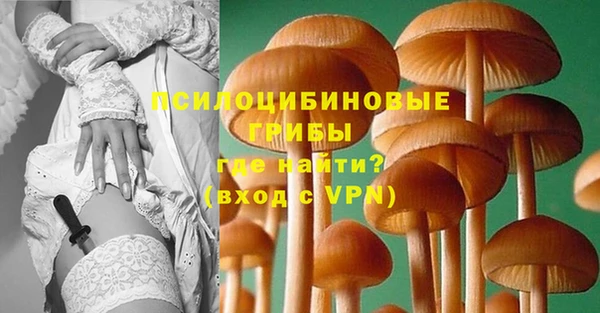 прущие крисы Абинск