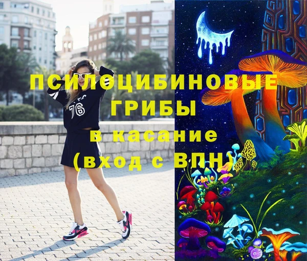 прущие крисы Абинск