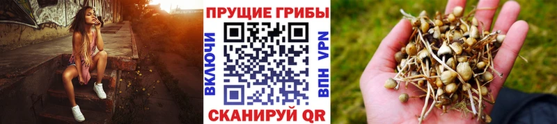 Галлюциногенные грибы Magic Shrooms  blacksprut tor  Бобров 
